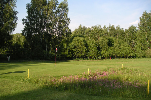 DT Severovýchod 2005, Svobodné Hamry