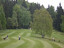 Golfov hit ve Svratce., Foto: Renata Bogvajov
