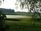 Rosa na cvinch greenech., Foto: Zdenk Pikryl