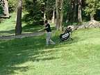 Martin Slnsk (GC Kuntick Hora) v obtn pozici na prvn jamce., Foto: Zdenk Pikryl