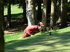 Tom varc pozorn studuje drhu patu., Foto: Zdenk Pikryl