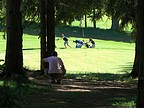 Prekrn situace Ondeje Ptka v lese..., Foto: Zdenk Pikryl