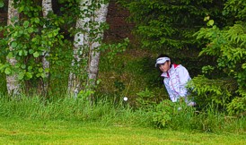 Svobodné Hamry